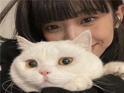 美女脱衣直播下载,直播揭秘：网络奇观背后的隐忧-5