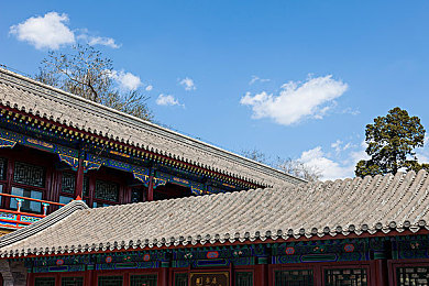 4438全国免费最大成网五月天,五月天盛宴，青春正能量来袭-1