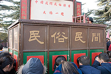 讲讲你的第一次去小树林感受知乎,踏进小树林，感受自然魅力-4