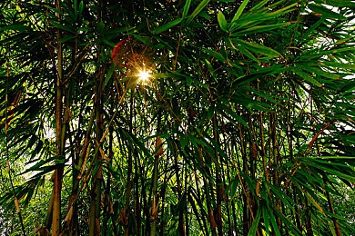 国产又粗又猛又爽又黄的A片小说,网络文学新现象：揭秘“又粗又猛”小说魅力-4