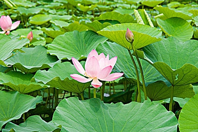 房东老头吃我奶,老房东误食租客奶，租房安全引关注-3