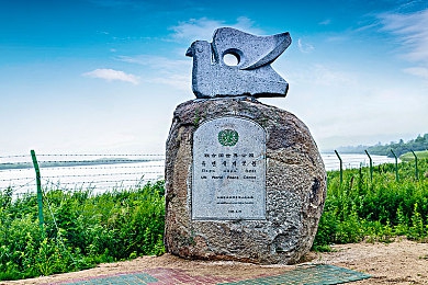 母亲在农田干活提个名称,农村母亲辛勤劳作引关注-3