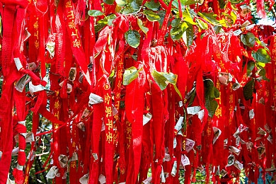 8008幸福宝站长统计版功能介绍,网站运营神器，一招轻松掌握数据！-2