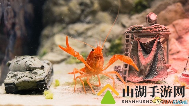 究竟谁是陆地王者！PC《坦克世界》世界总决赛开战