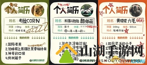 CC直播发布最扯招募启事 最萌简历曝光
