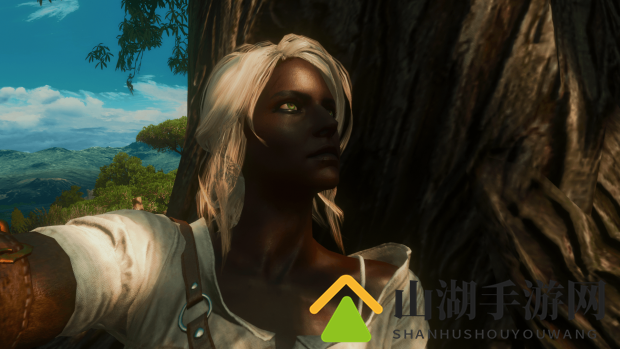 嘲讽政治正确！粉丝打造了《巫师3》黑人希里MOD