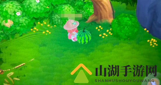 摩尔庄园手游浆果森林西瓜有什么用