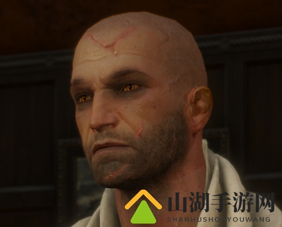 《巫师3》鬼畜MOD：白狼变成叶奈法